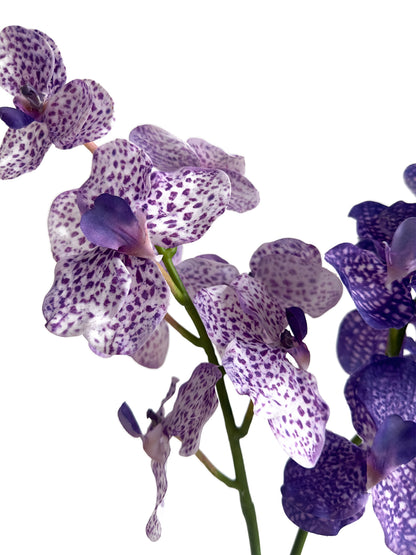 Artificial Vanda Orchid - 24"
