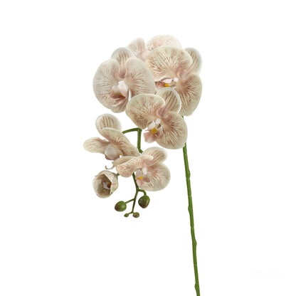 Real-Touch Faux Phalaenopsis Orchid Spray - 37.4"