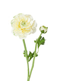 Faux Ranunculus Flower -20.8"