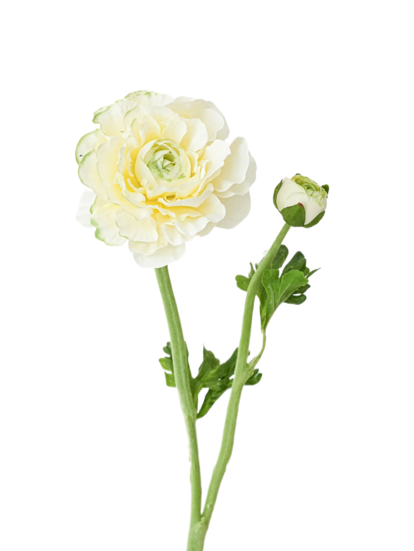 Faux Ranunculus Flower -20.8"