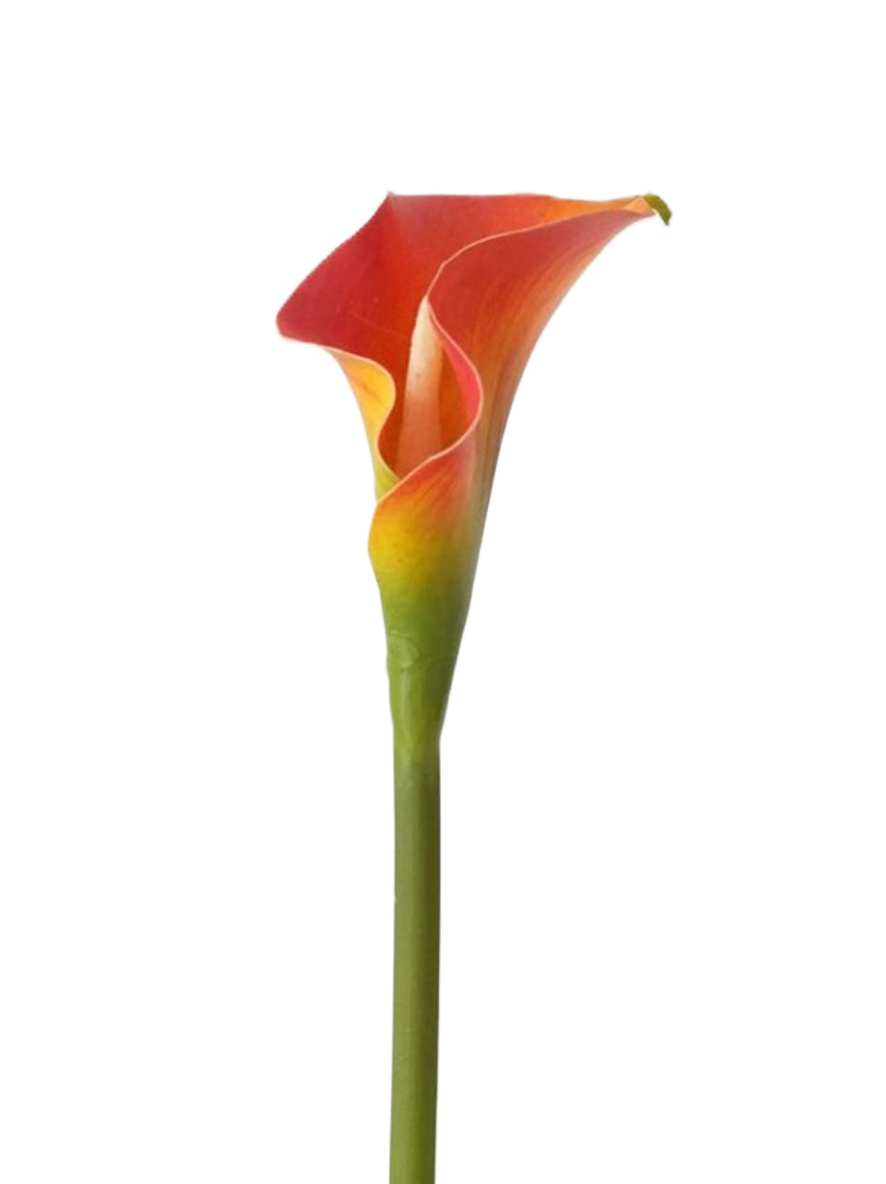 Faux Calla Lily-21.6"