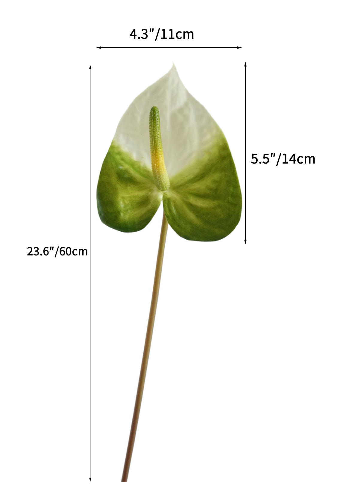 Luxurious Quality Artificial Tropical Anthurium- 23.6"