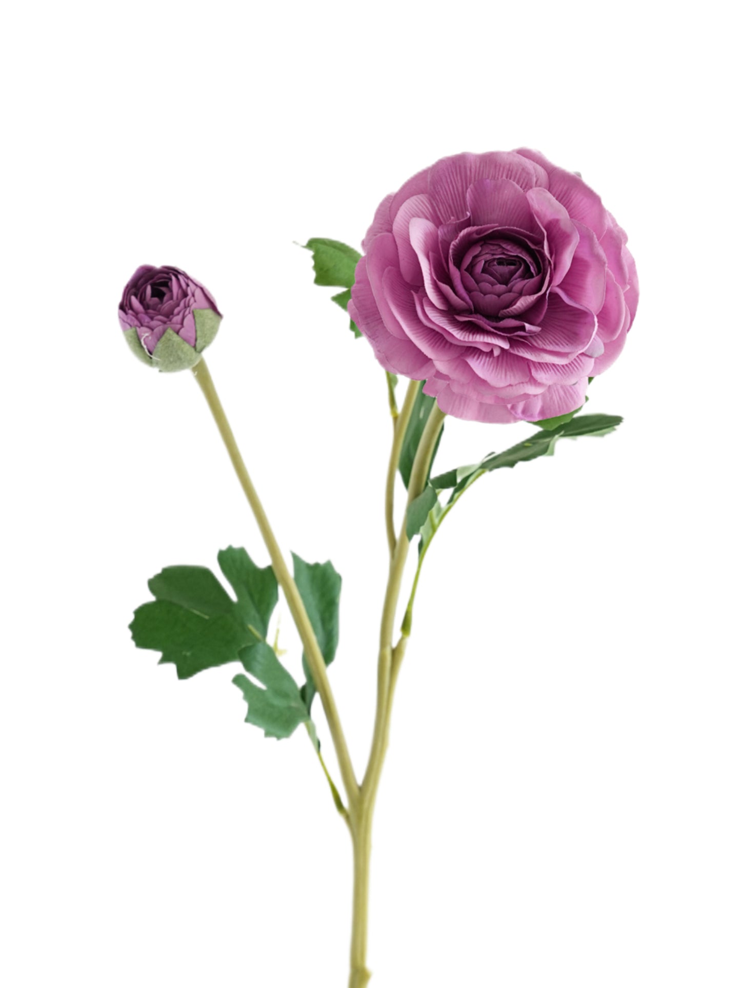 High - end Real Touch Faux Ranunculus - 21.6"