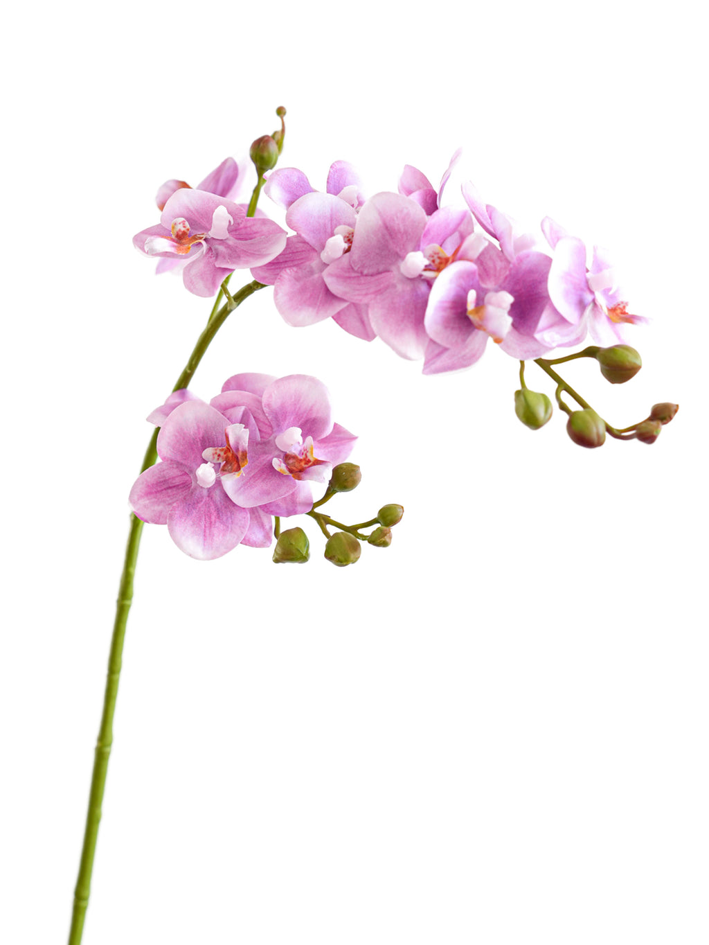 Real Touch Lavender Artificial Phalaenopsis Orchid  -27.5"