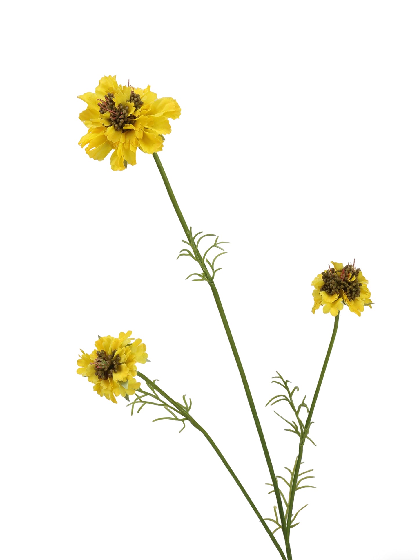 Faux Multi-Head Scabiosa Spray - 31.1"