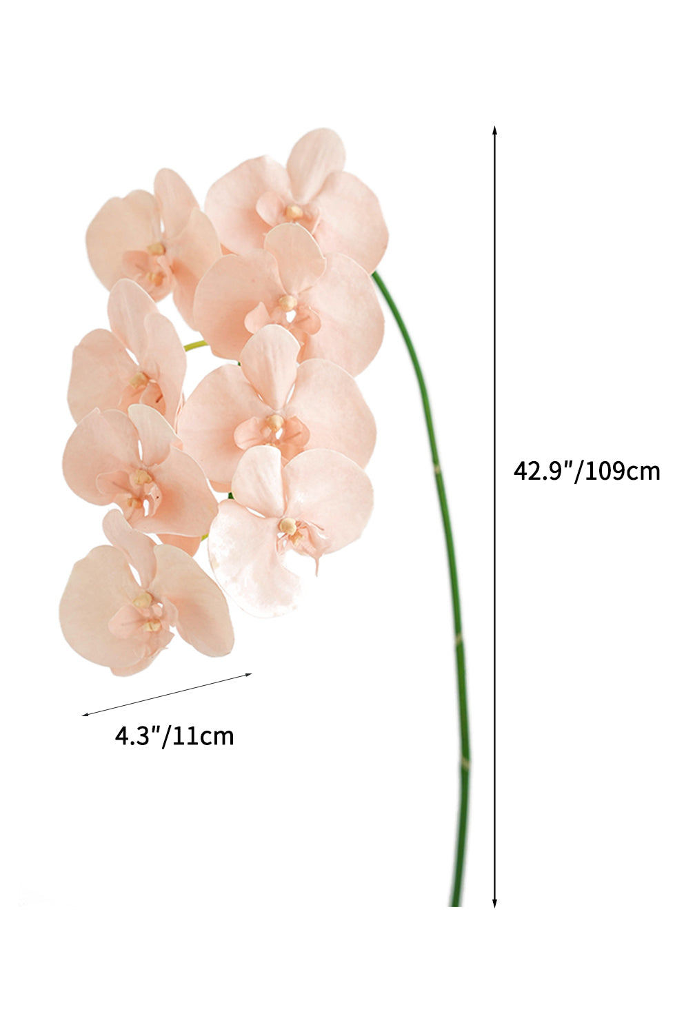 Fake Blooming Phalaenopsis Orchids in Cream-42.9"