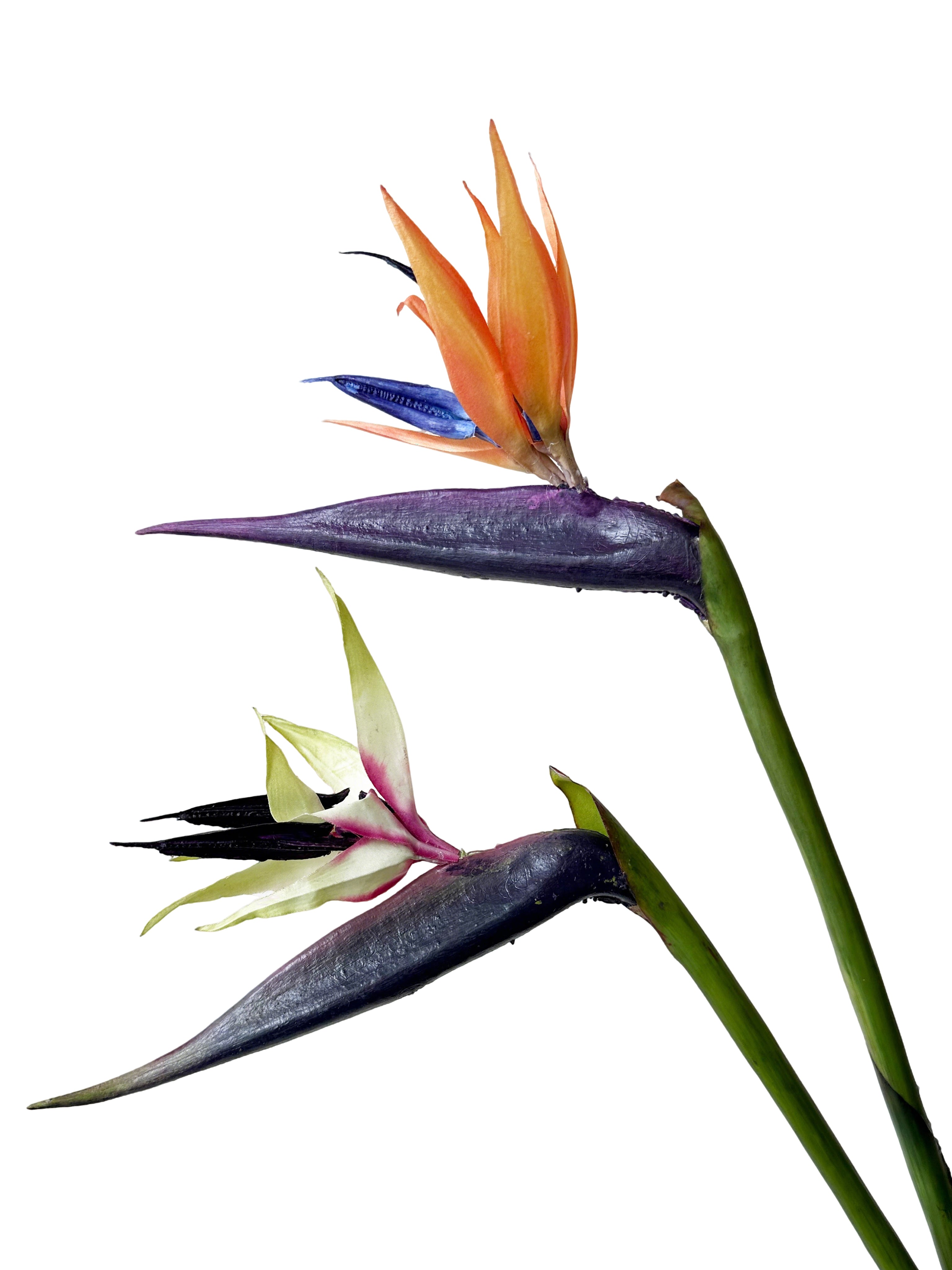 High-end Artificial Birds of Paradise Flowers -34.2"