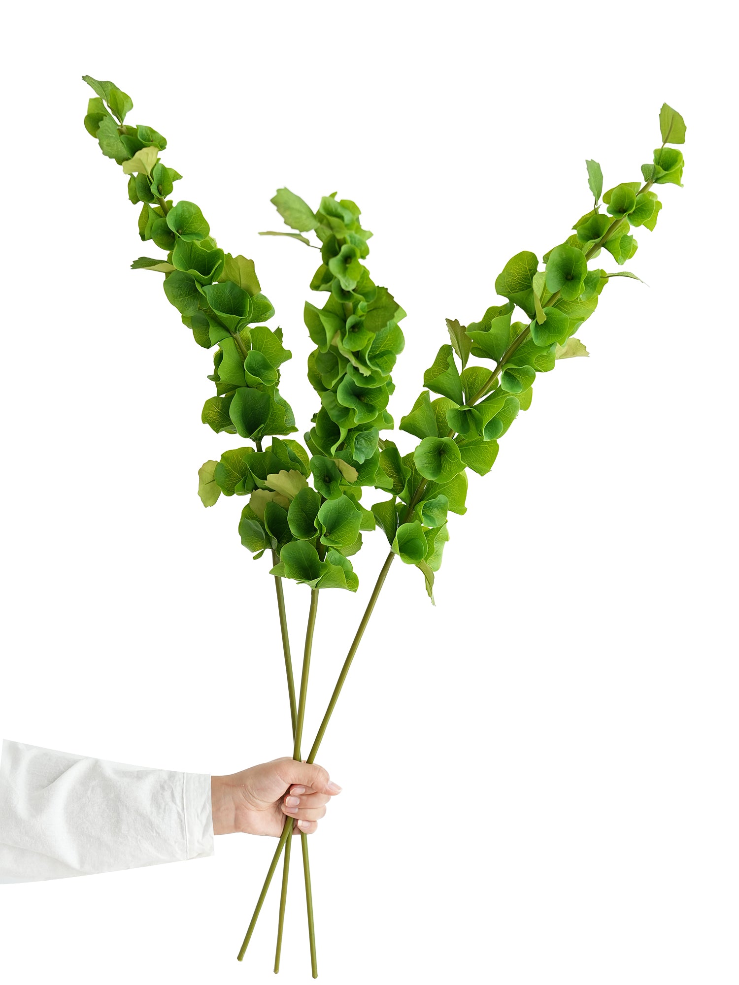 Large-sized artificial green plants with shell-shaped leaves - 37.4"