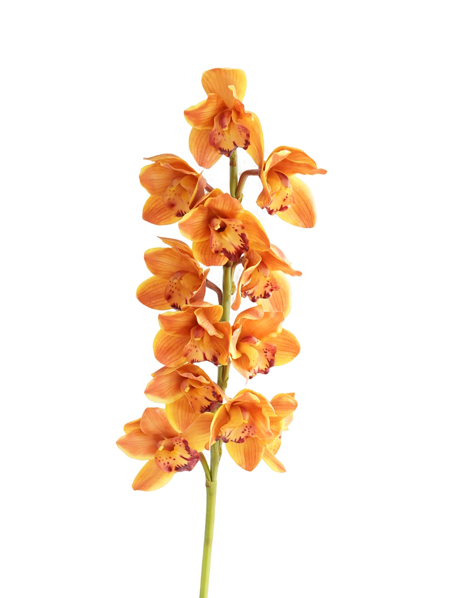 Large-sized artificial orchids with a realistic touch-37.4"