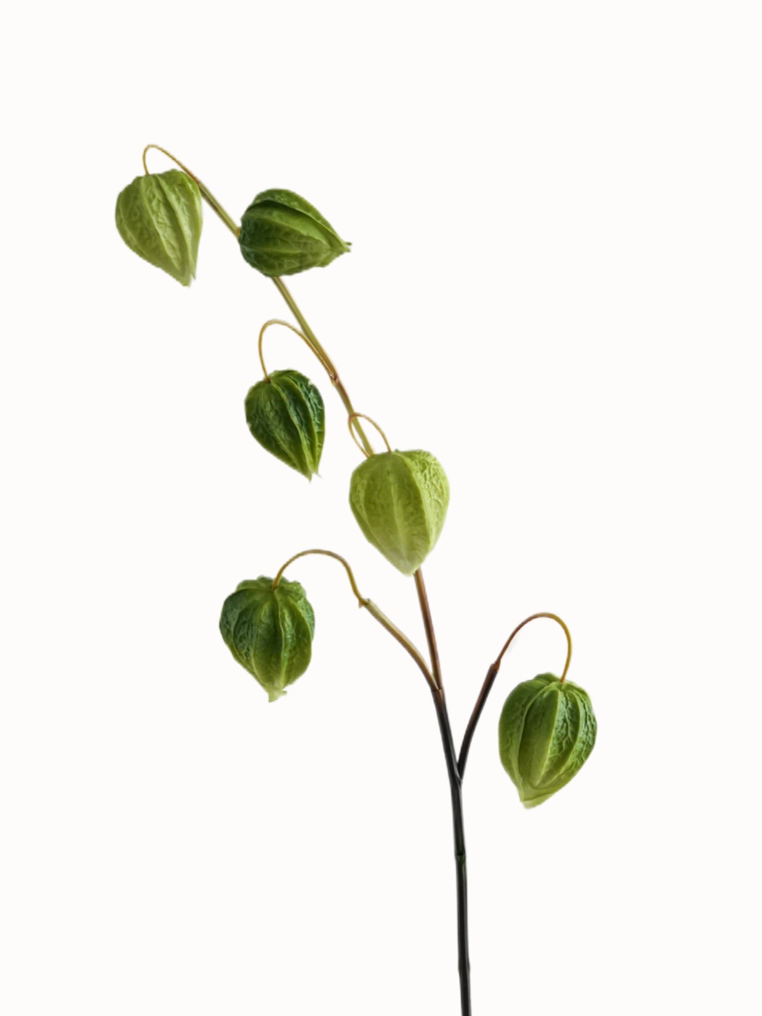 Simulated Ground Cherries Artificial Cape Gooseberry -27.9"