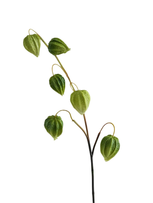 Simulated Ground Cherries Artificial Cape Gooseberry -27.9"
