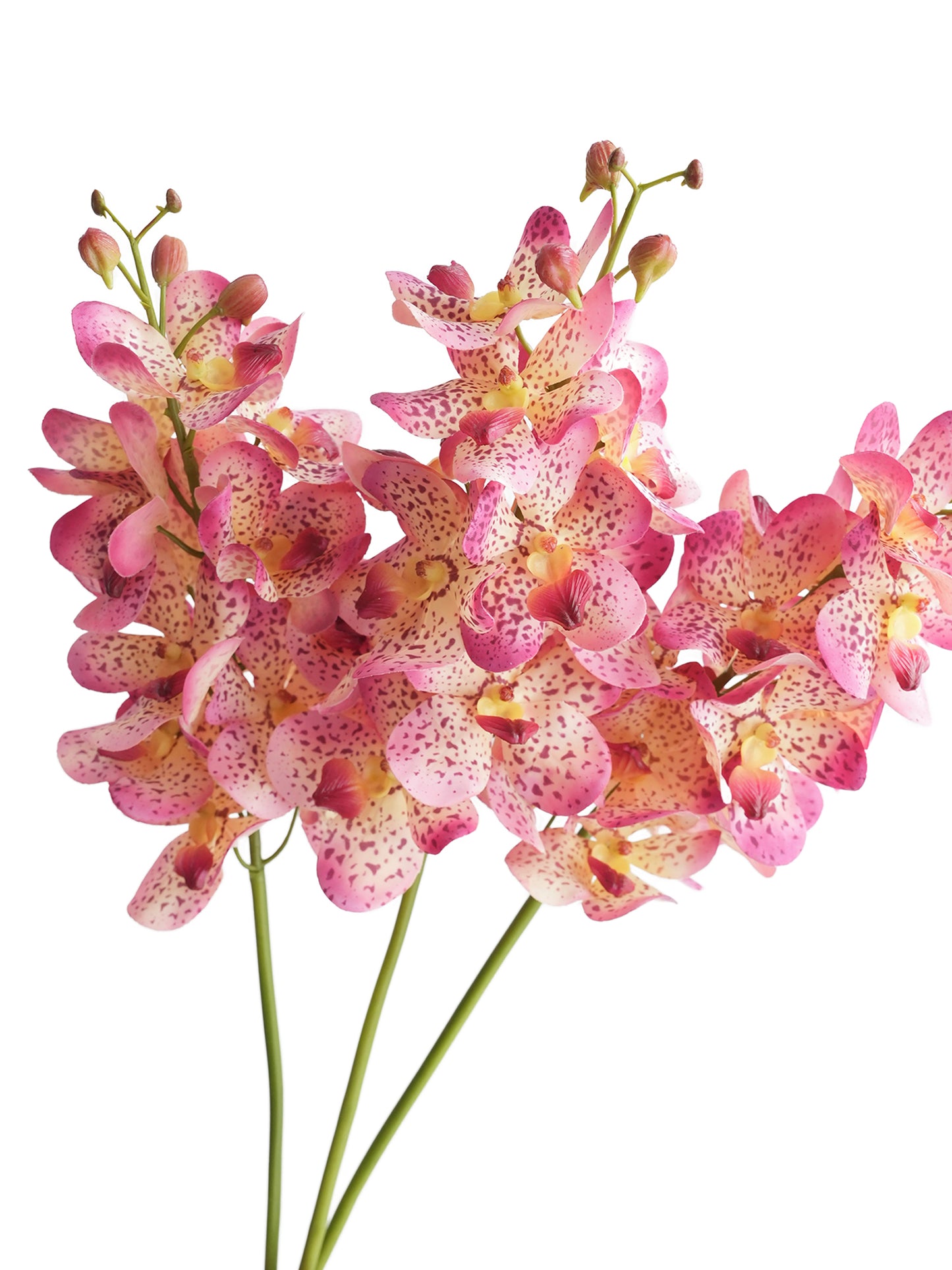 Artificial Vanda with lifelike touch -27.5"