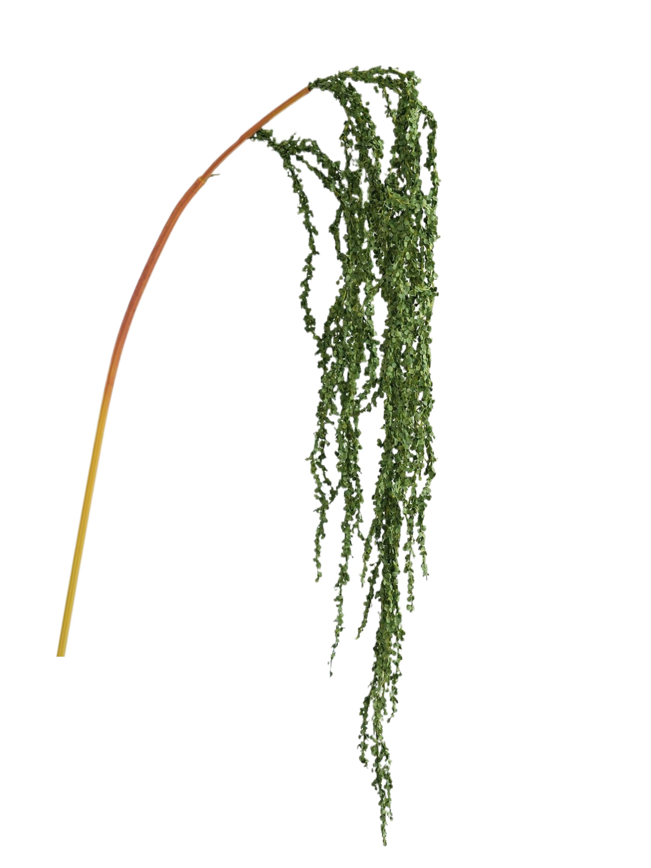 Fake Amaranthus with Branch Hanging Flowers -55.1"