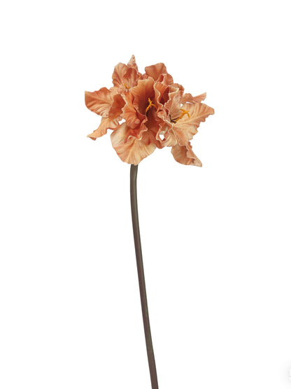 Faux Large Clivia Plant - 27.5"