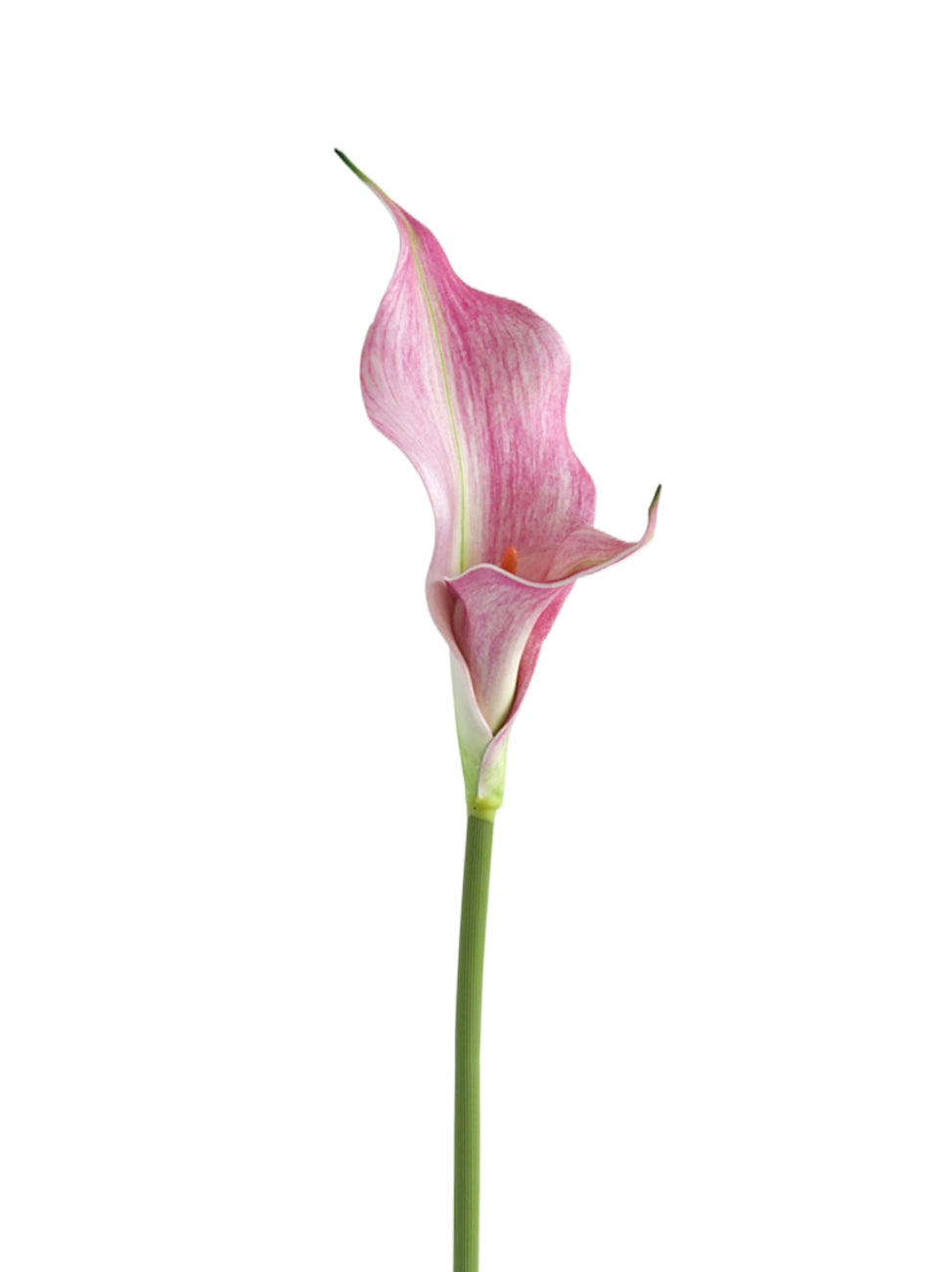 Artificial Calla Lily Flowers-23.6"