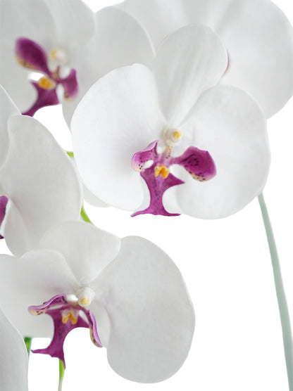 Faux Real Touch Orchids in White -41.3"