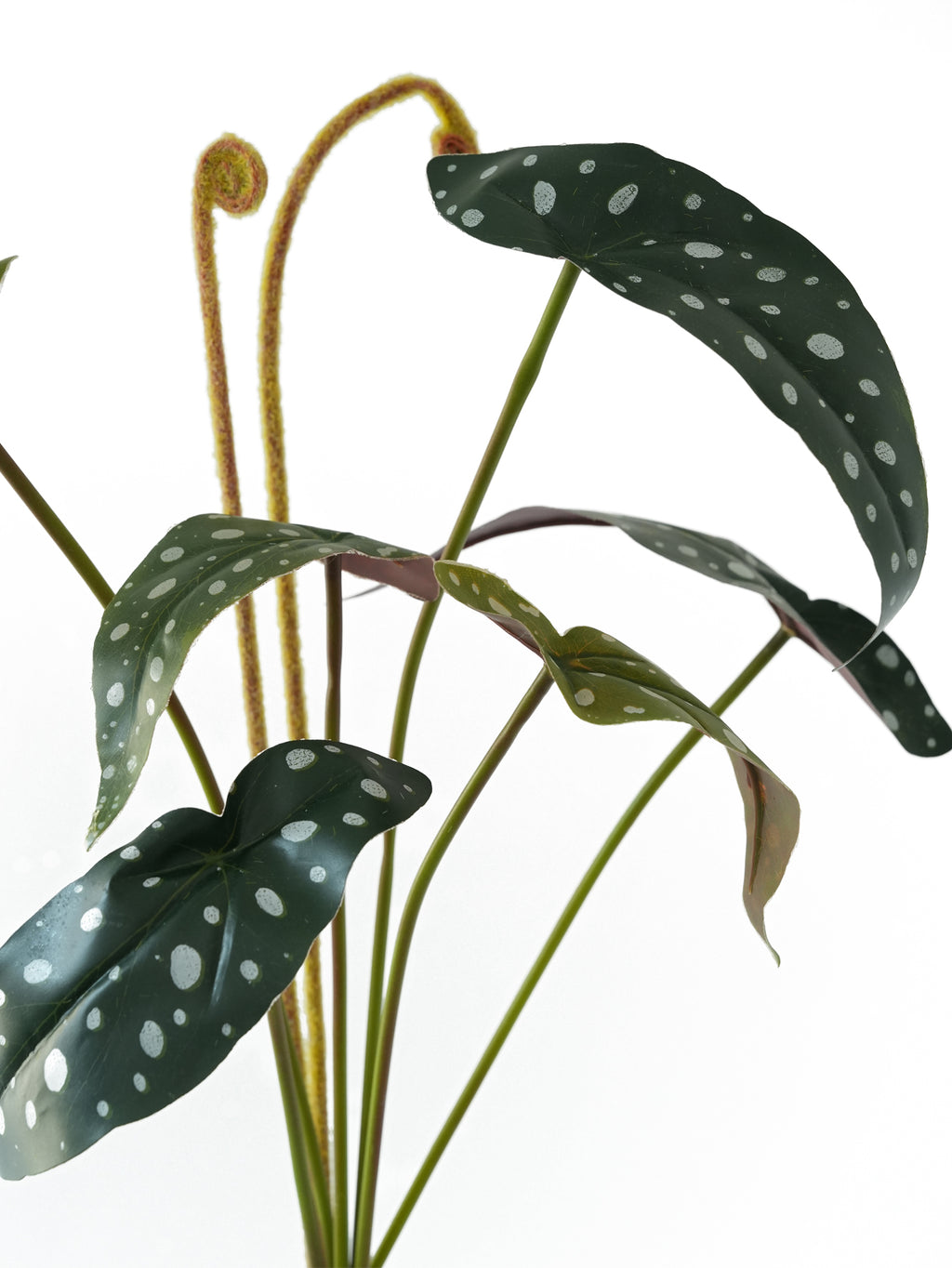 Fake Polka Dot Begonia Artificial Trout Begonia -21.2"