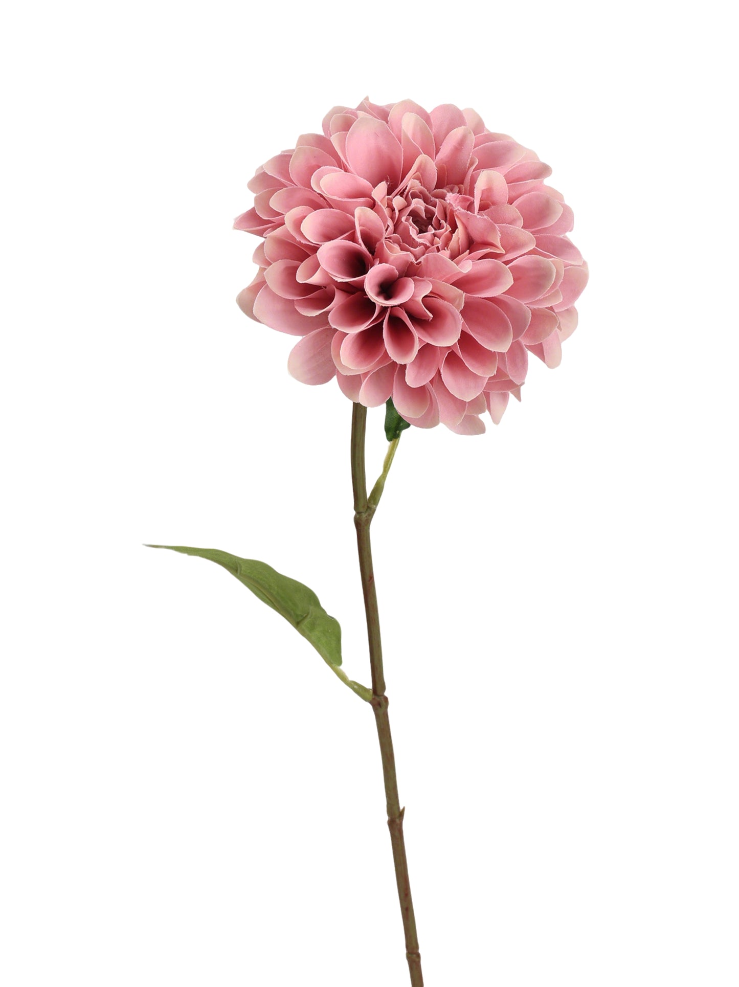Faux Single-Bloom Dahlia Stem - 20.8"
