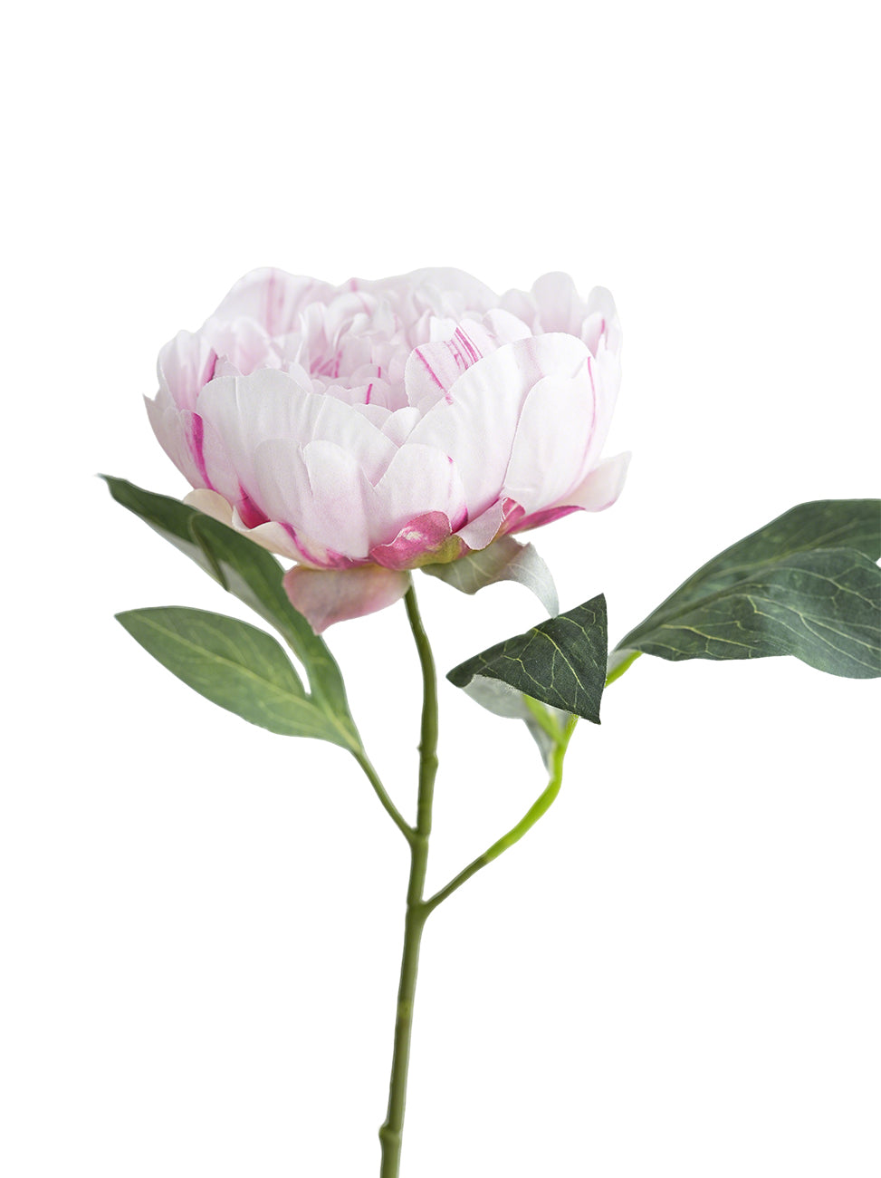 Fake Sarah Peony Artificial Sarah Bernhardt-20.4"