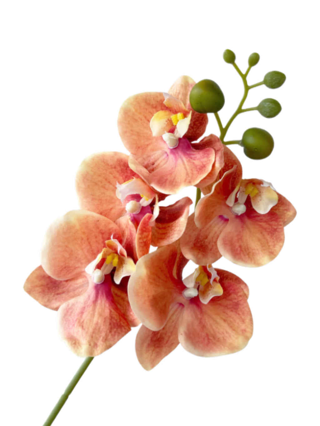 Artificial Phalaenopsis Orchids with a Realistic Touch -18.1"