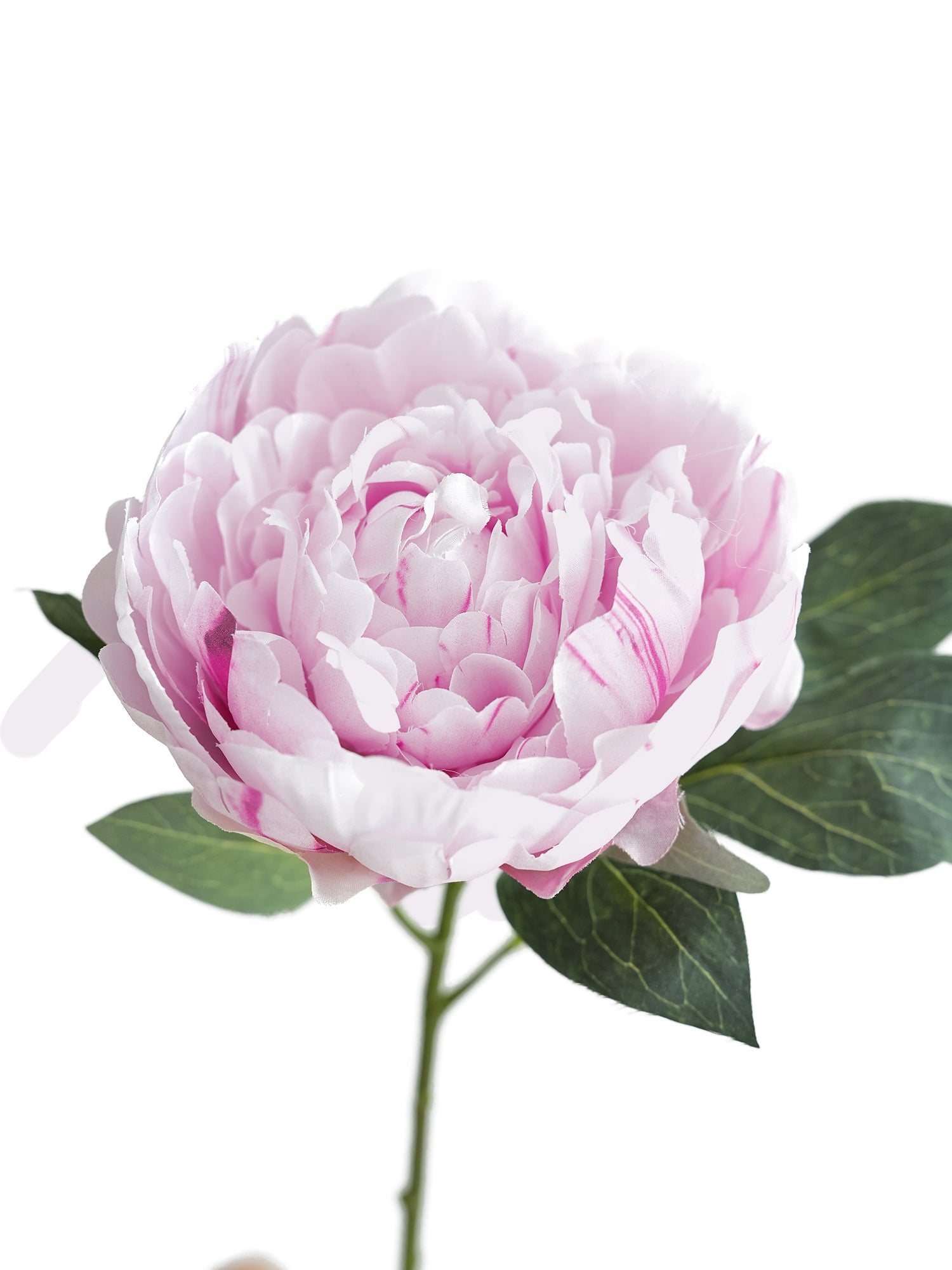 Fake Sarah Peony Artificial Sarah Bernhardt-20.4"