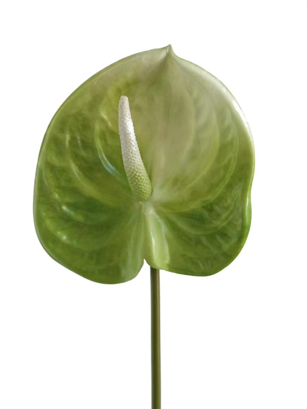 Large-sized artificial Anthurium flowers-26.3 "