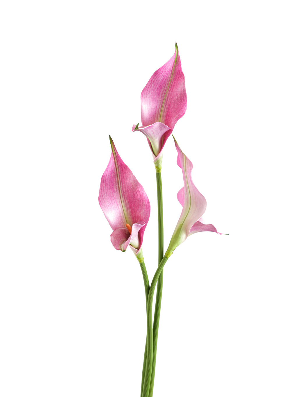 Artificial Calla Lily Flowers-23.6"