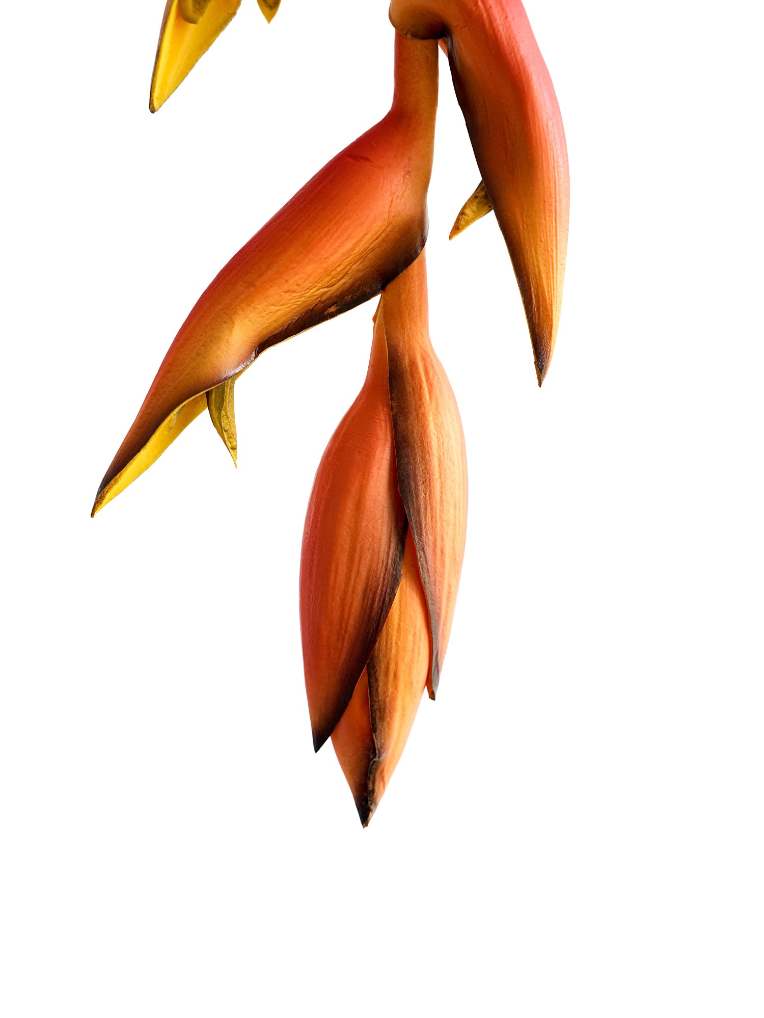 High-end Customized Artificial Hanging Birds of Paradise Flowers - 37.4"