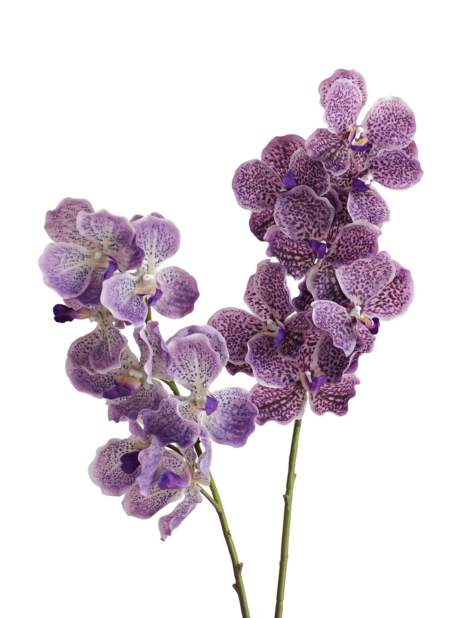 Artificial Vanda Orchid -31.5"