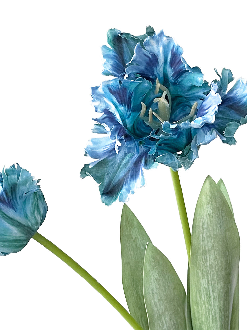 Highly customized artificial Parrot Tulip flowers-27.1"
