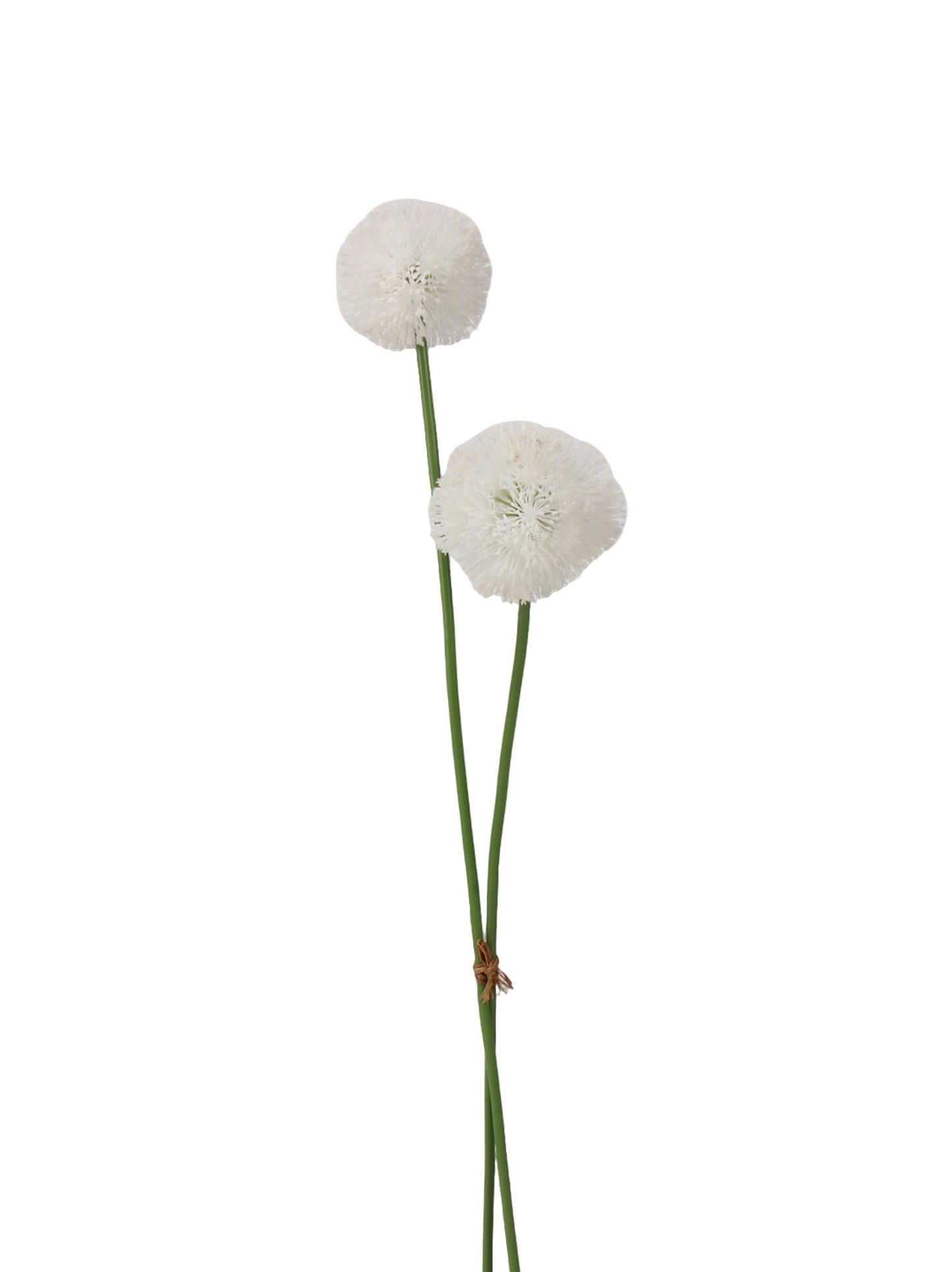 Faux Allium Stem - 22.8"