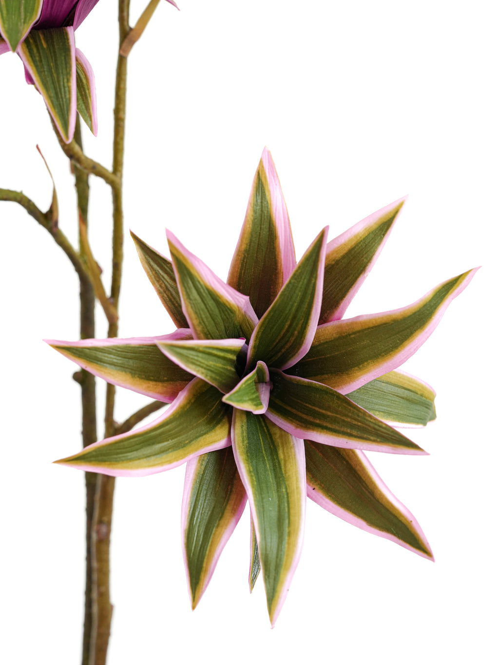 Artificial foliage green plants of Dracaena reflexa - 32.2"