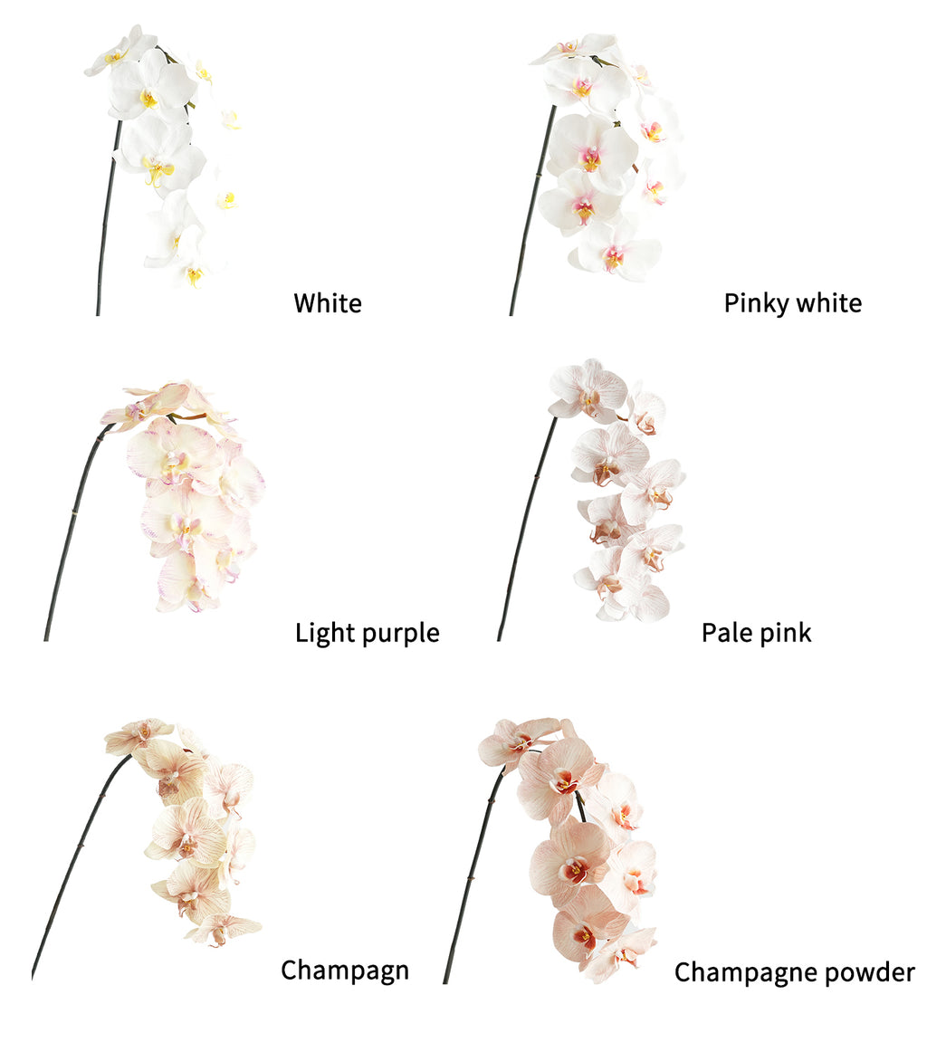 Artificial Phalaenopsis in Cream Color Palette-35"