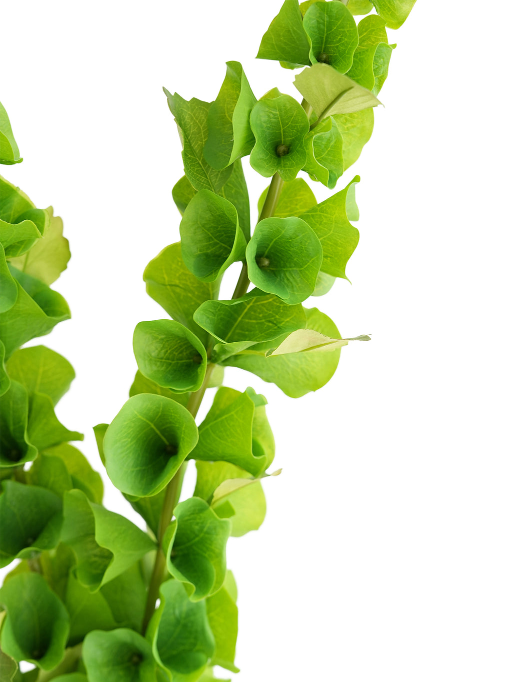 Large-sized artificial green plants with shell-shaped leaves - 37.4"