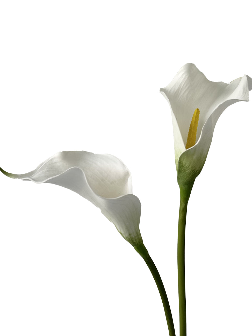 Large Fake Calla Lily with Gentle Hues -26.7"