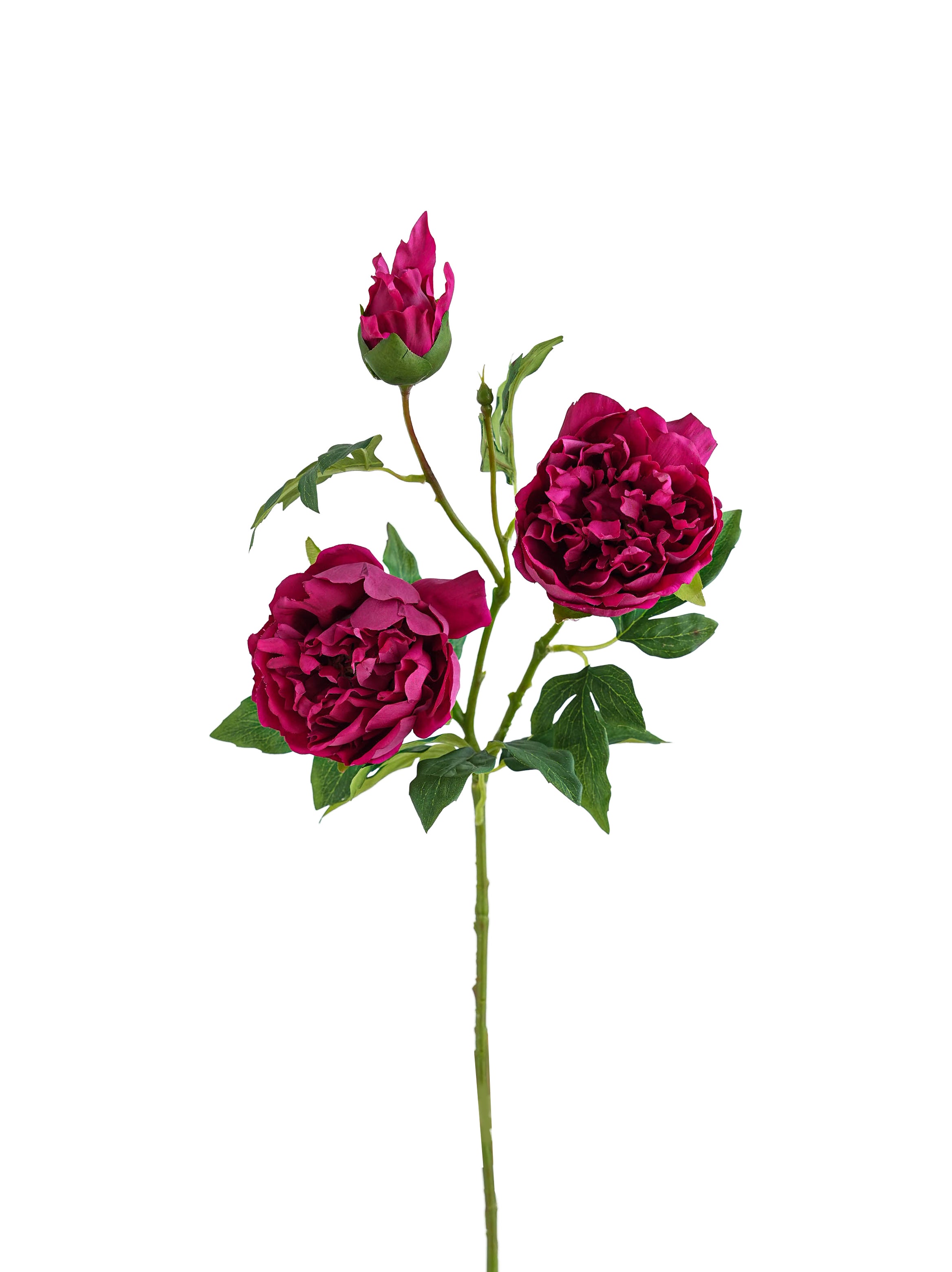 Cream Colors Faux Real Touch Peony Flower -31.8"