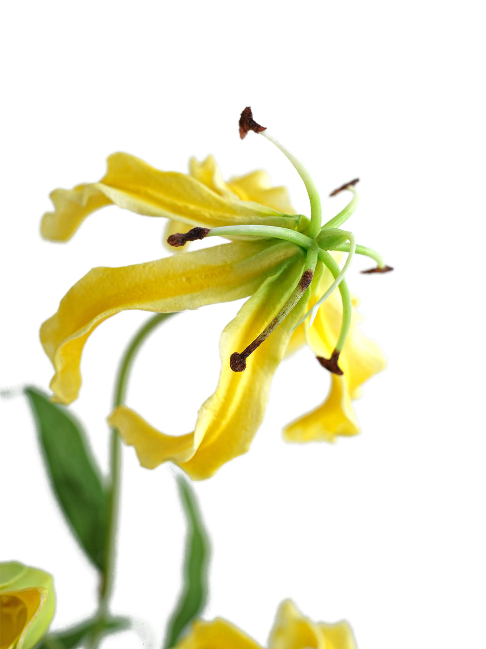 Realistic Artificial Gloriosa Lily -29.5"