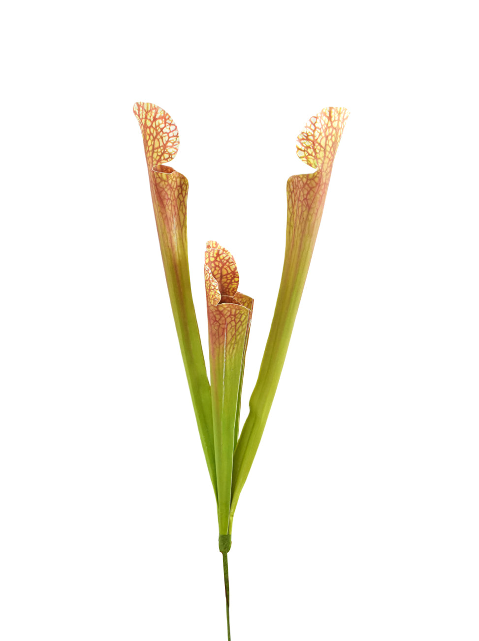 Artificial Sarracenia  -17.7"