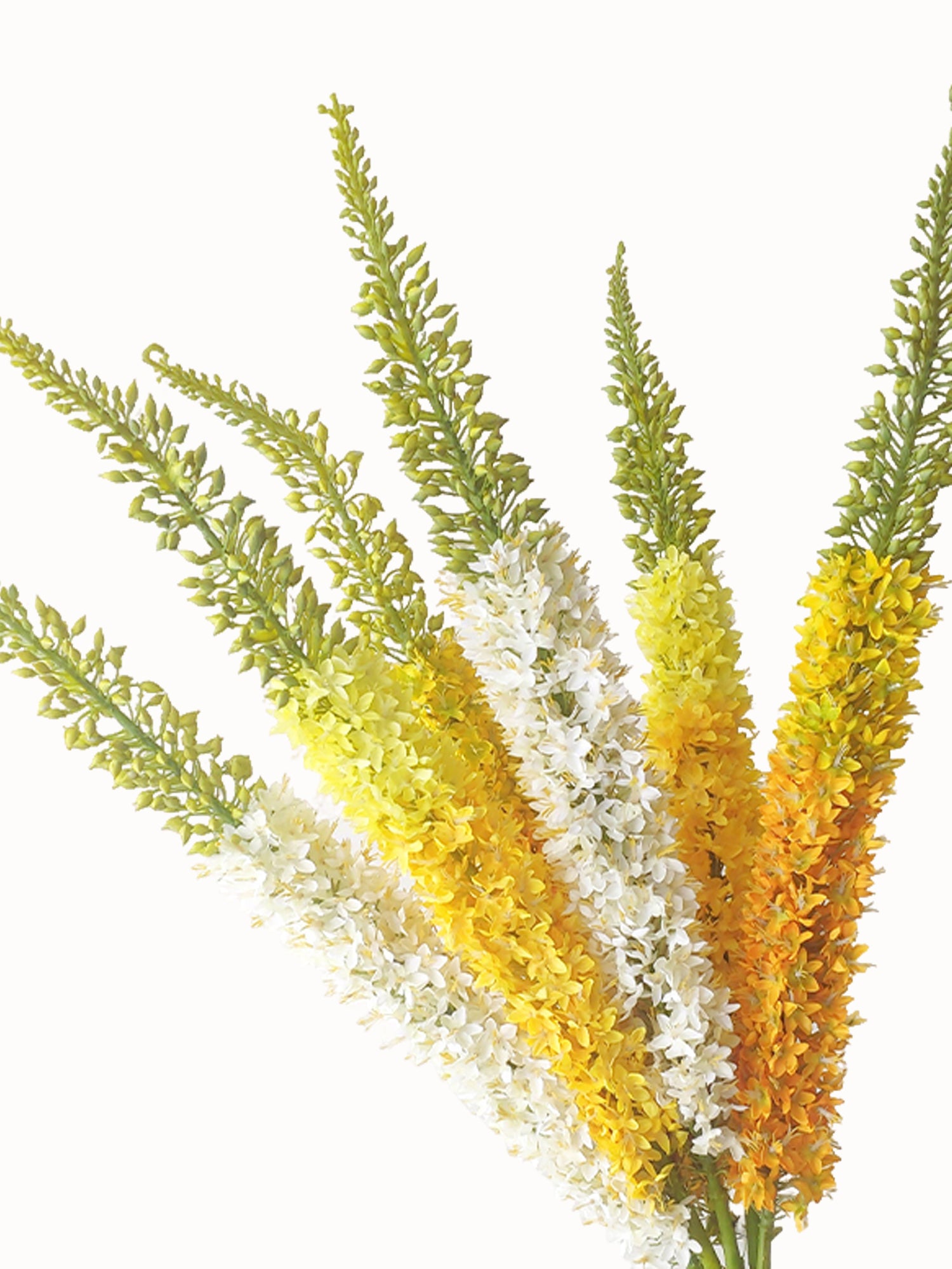 High-end Artificial Foxtail Flowers with Large Branches - 55.5"