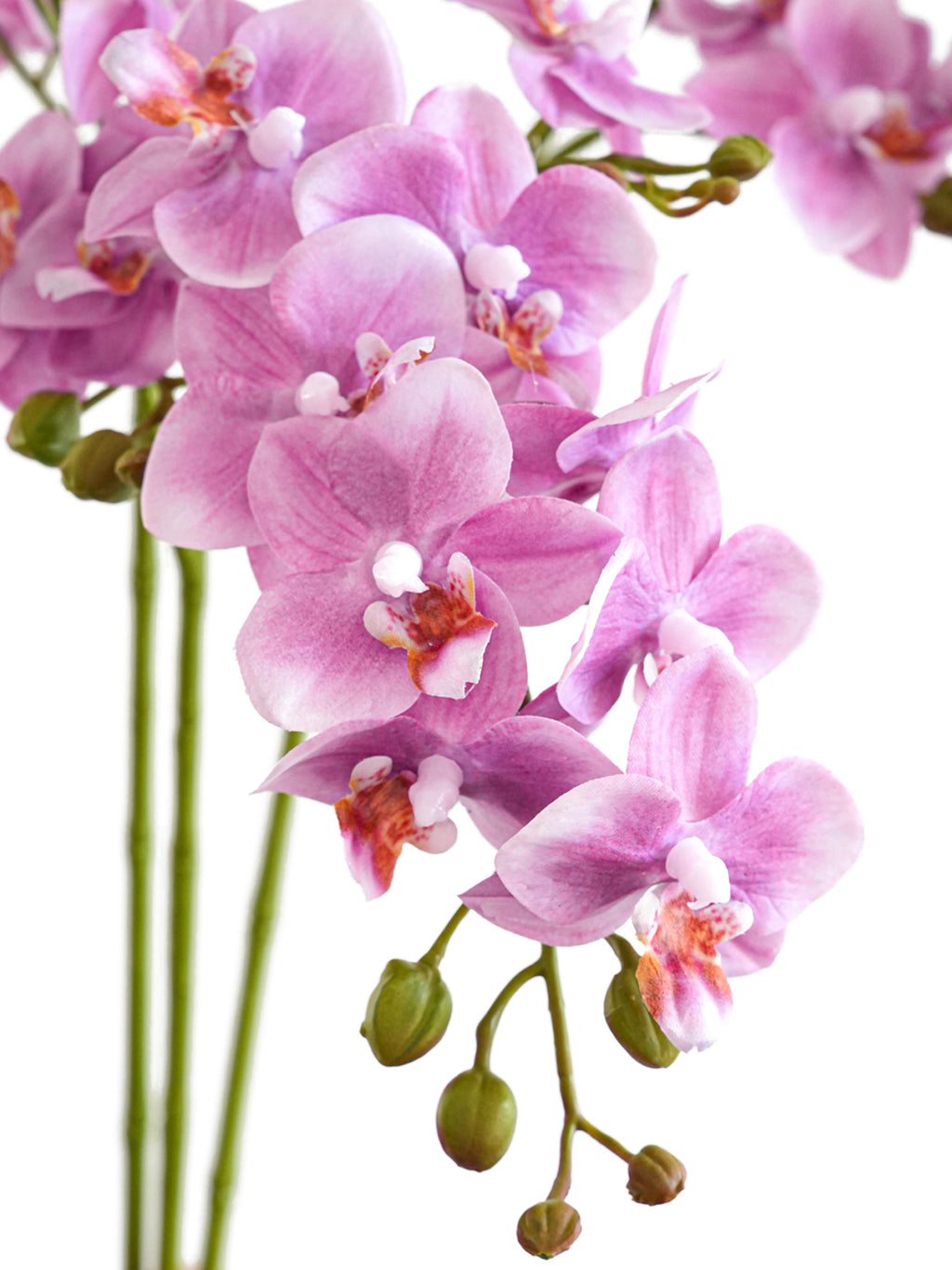 Real Touch Lavender Artificial Phalaenopsis Orchid  -27.5"