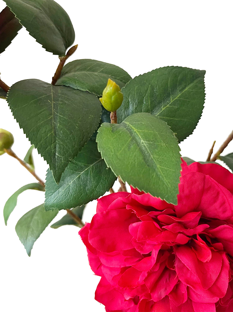 Faux Camellia Flowers -22.8"