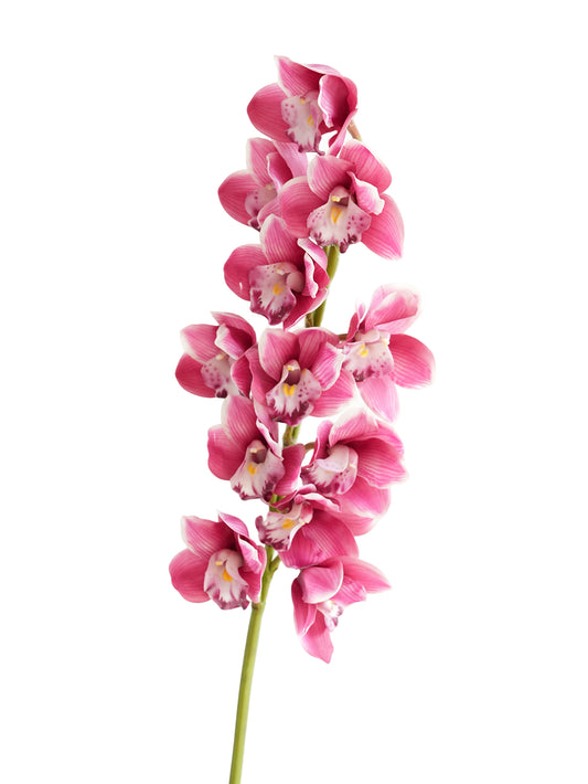 Large-sized artificial orchids with a realistic touch-37.4"