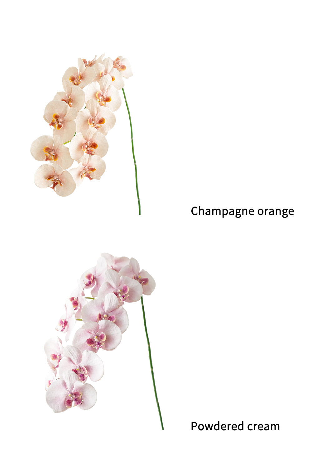 Cream Artificial Phalaenopsis Orchids -42.5"