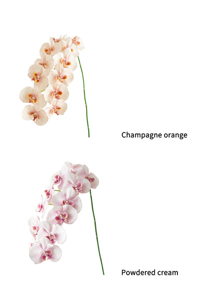 Cream Artificial Phalaenopsis Orchids -42.5"