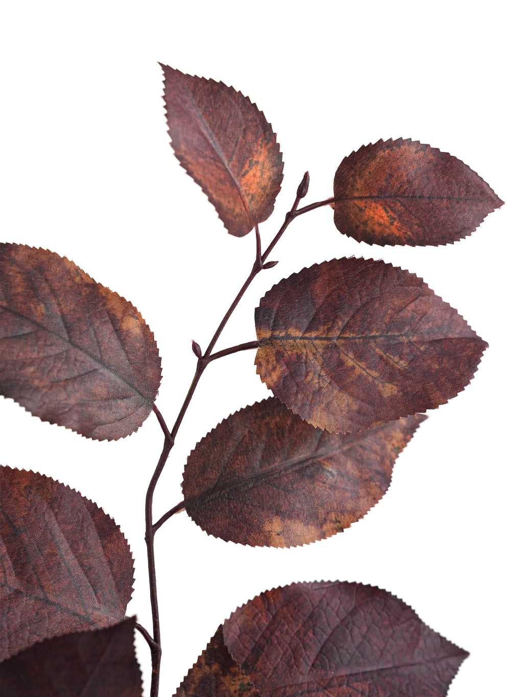 Retro Artificial Birch Leaves-29.7"