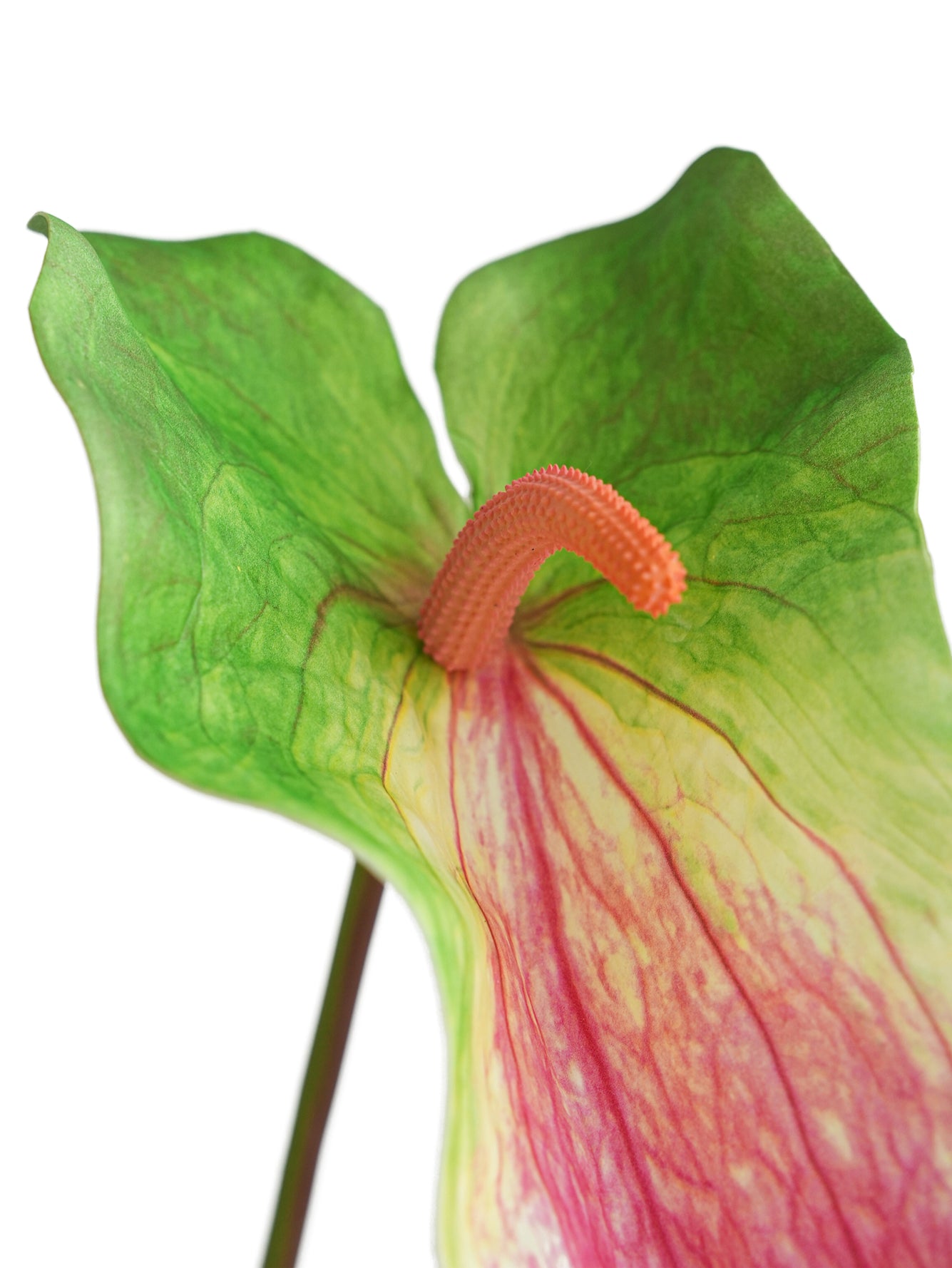 High-end Large-sized Artificial Green Anthurium Flowers- 26.7"