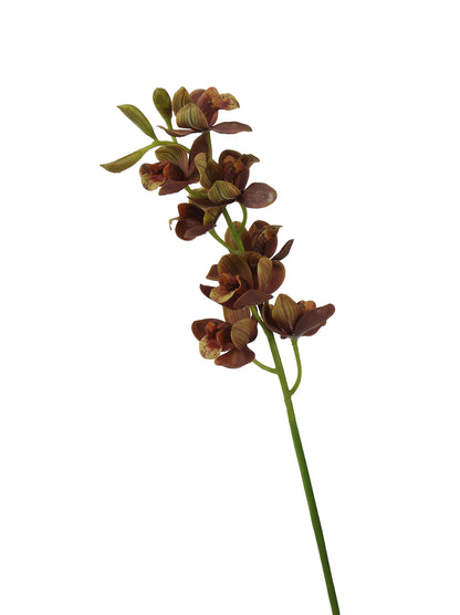 Real-Touch Faux Orchid Stem - 27.56"