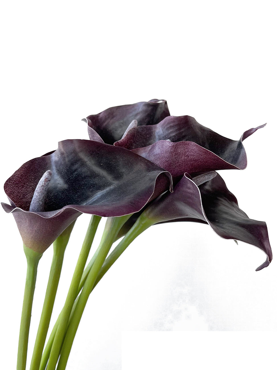 Faux Calla Lily-21.6"