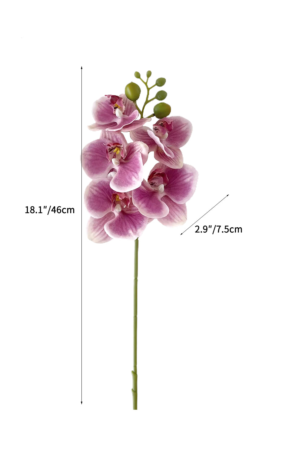 Artificial Phalaenopsis Orchids with a Realistic Touch -18.1"