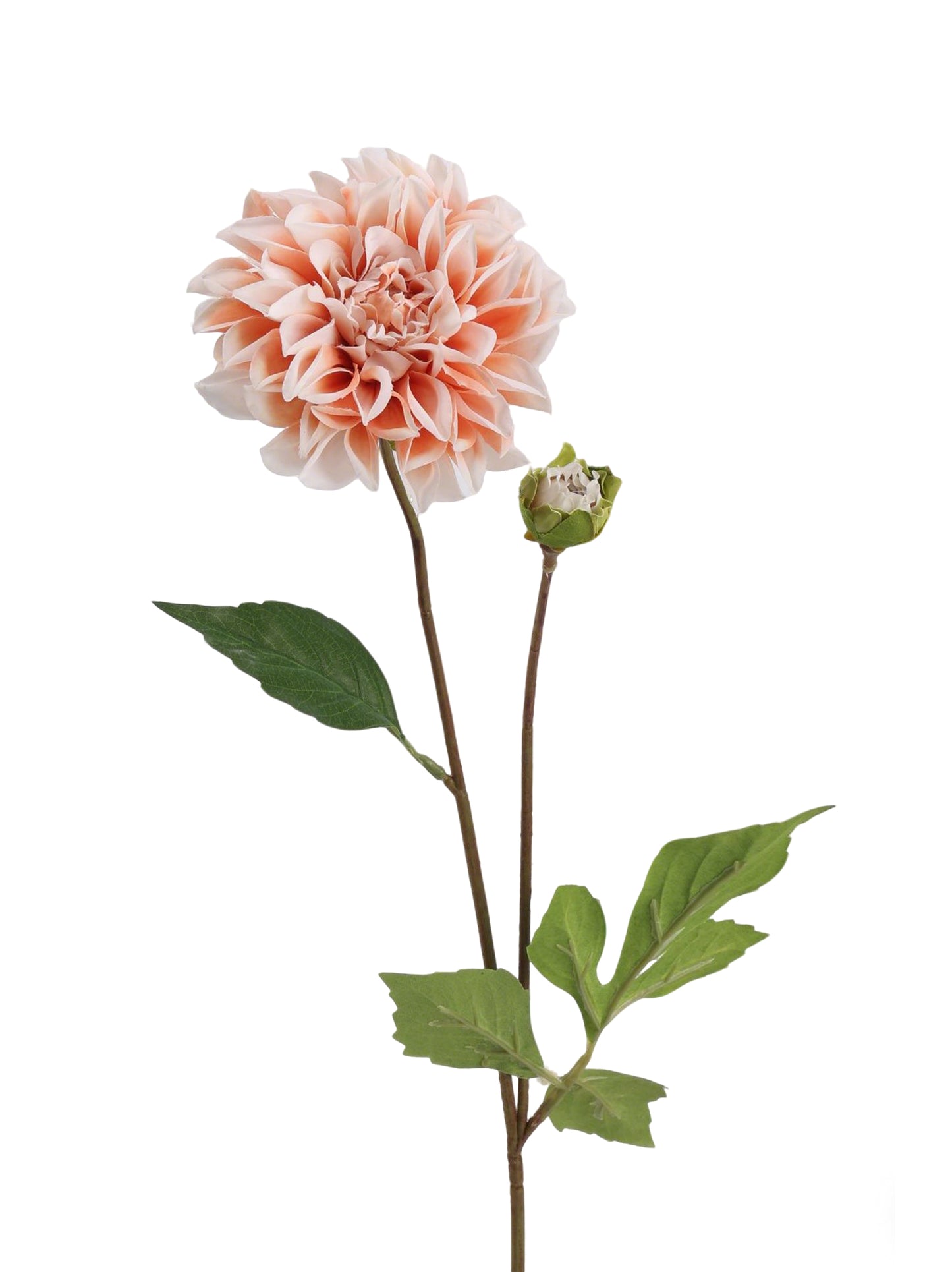 Faux Dahlia Spray With Buds - 22.8"